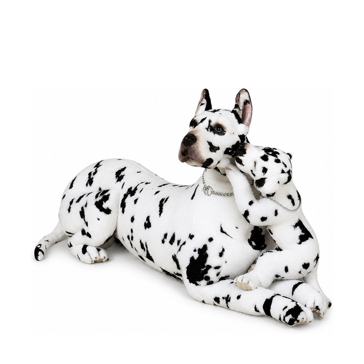 Piutrè Deutsche Dogge harlekin