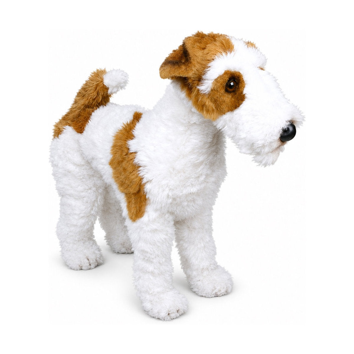 Piutrè Drahthaar-Foxterrier
