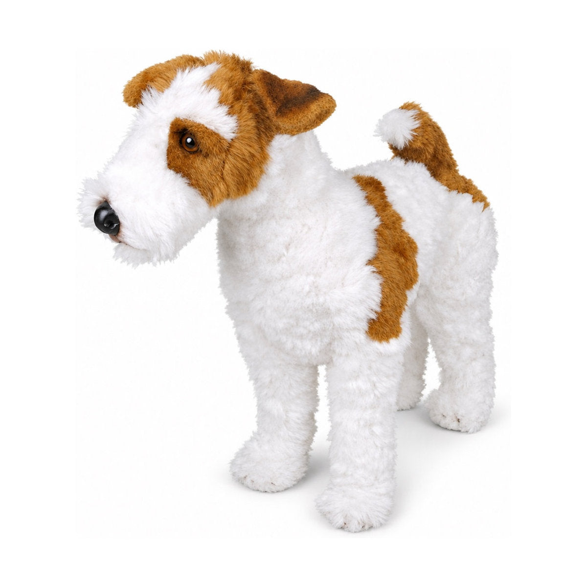 Piutrè Drahthaar-Foxterrier
