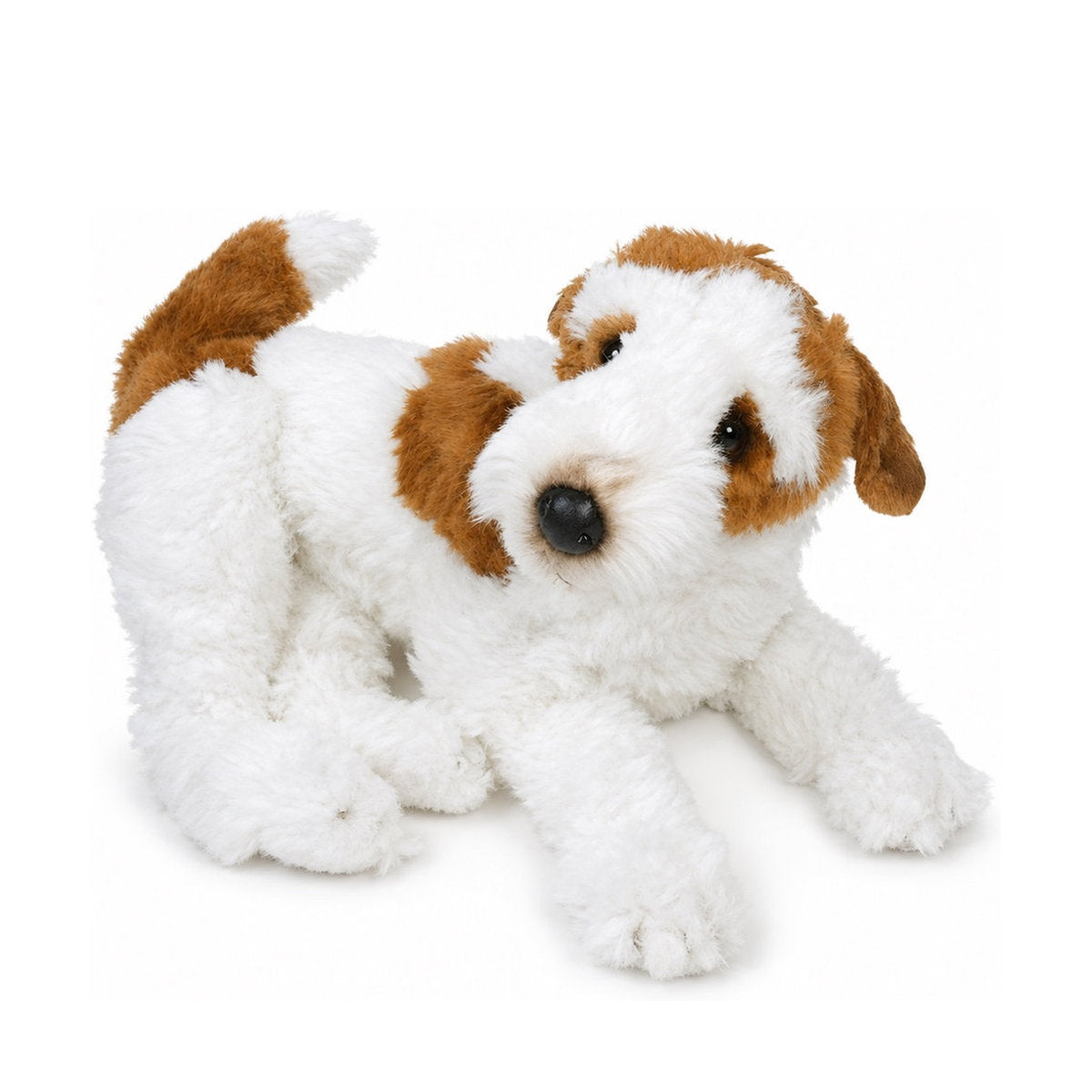 Piutrè Drahthaar-Foxterrier