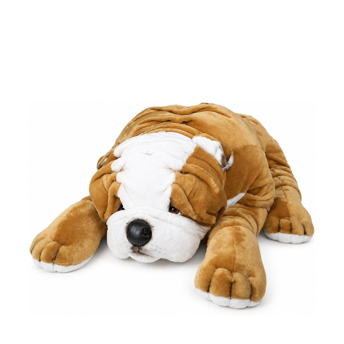 Piutrè Bulldogge