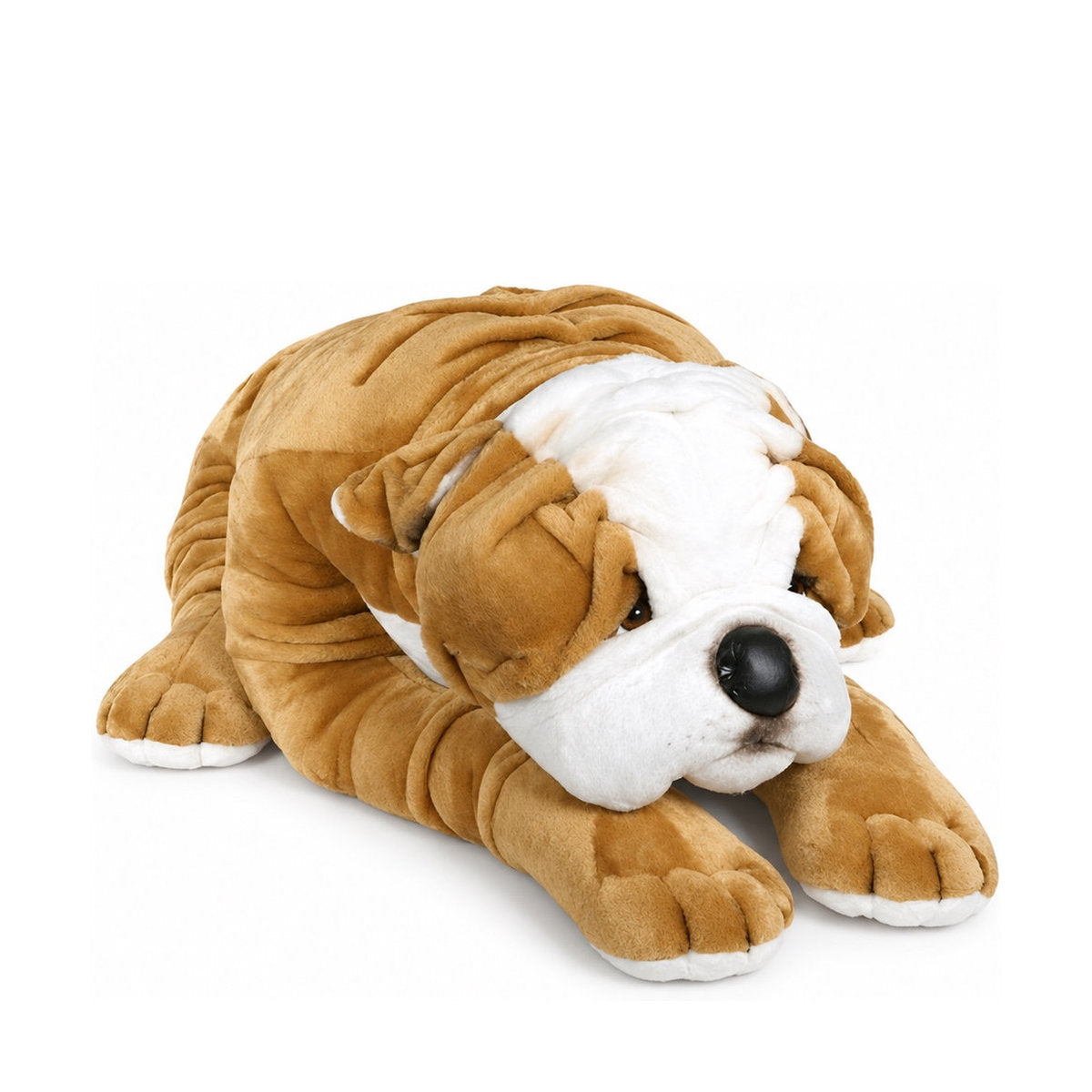 Piutrè Bulldogge
