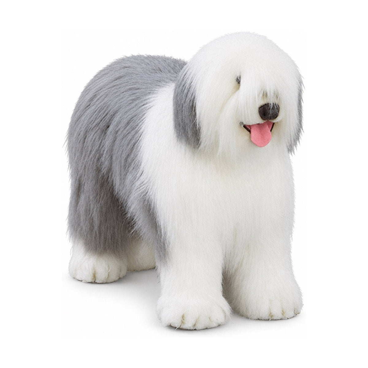 Piutrè Bobtail