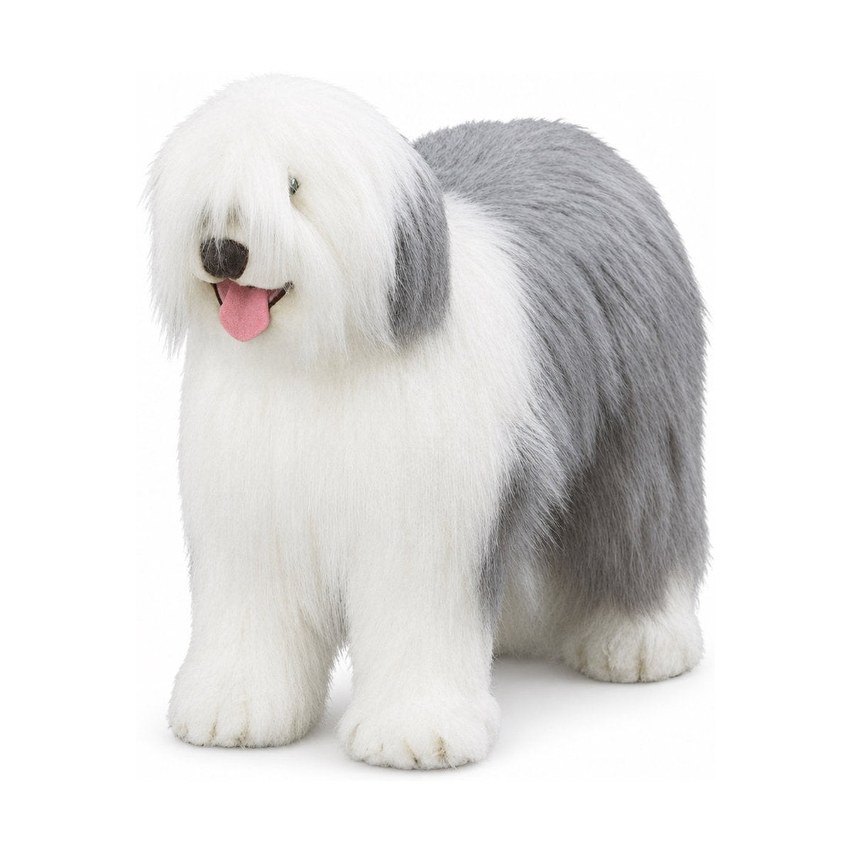 Piutrè Bobtail