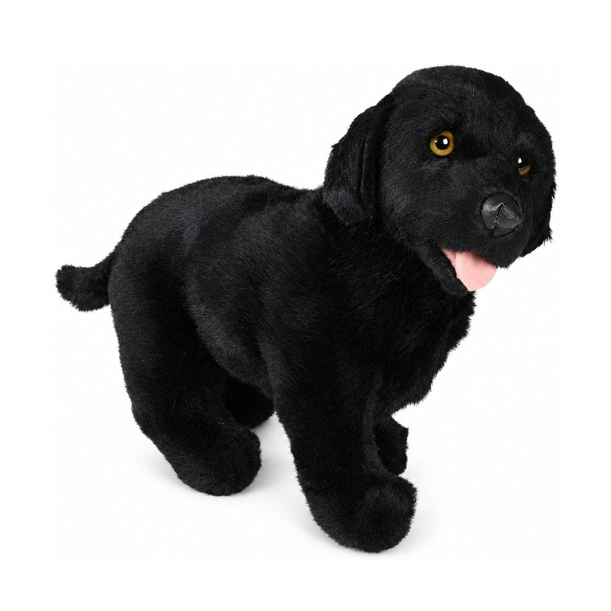 Piutrè Labrador Retriever schwarz