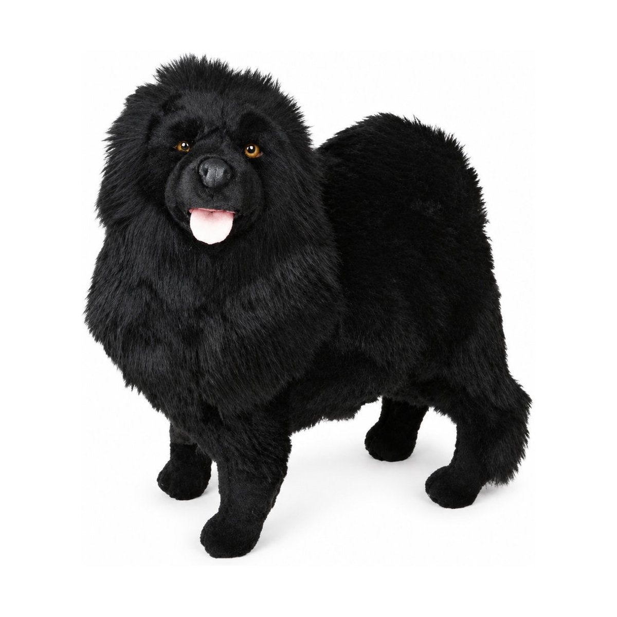 Piutrè Chow-Chow schwarz