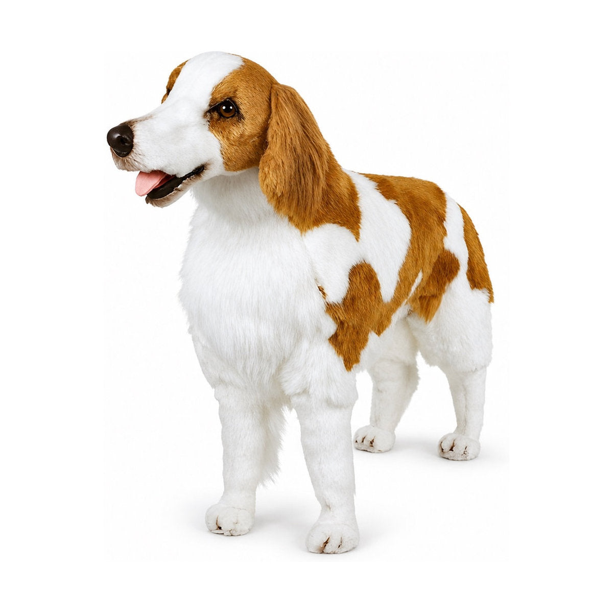 main PIUTRE-0295