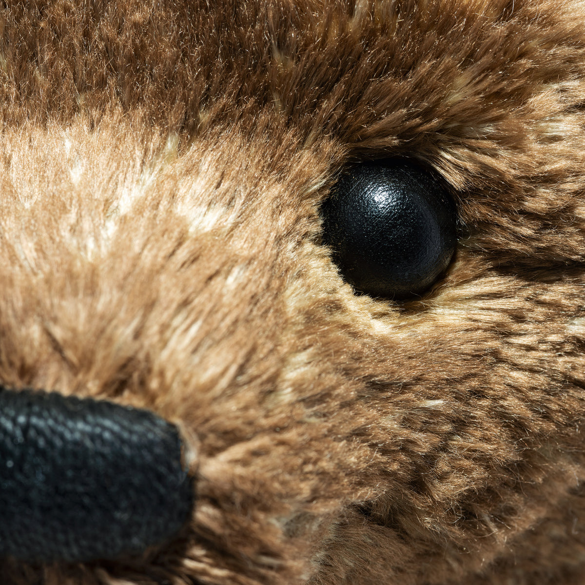 Steiff Teddybär 55 PB