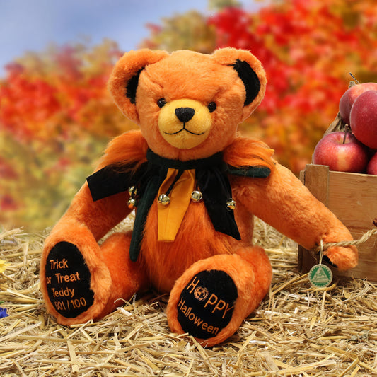Trick or Treat Teddy