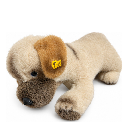 Das ist Welfo, ein Hund von Steiff. Es steht auf allen vieren und hat kurzes, dichtes Plüschfell mit leichtem Glanz. Das Fell ist überwiegend beige, Schnauze, Ohrenoberseiten und Pfotenspitzen sind mittel- bis dunkelbraun, über den Rücken läuft ein schmaler dunkler Streifen. Die Ohreninnenseiten sind braun, der Bauch beige, die sichtbaren Pfotenballen braun. Die Augen sind blau, die Nase schwarz und rund. Kleidung oder Zubehör gibt es nicht. Der Ausdruck wirkt ruhig und sanft.